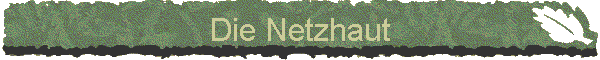 Die Netzhaut
