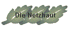 Die Netzhaut